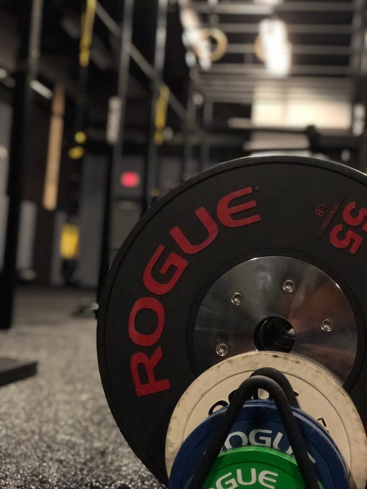 rogue bumper plates